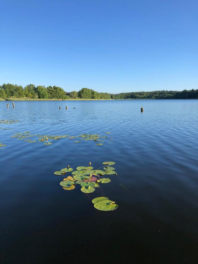 5 Sterne-Ferienhaus Eisvogel Am See Mit Sauna Und Kamin Krakow am See Exteriér fotografie